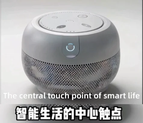 视频翻译